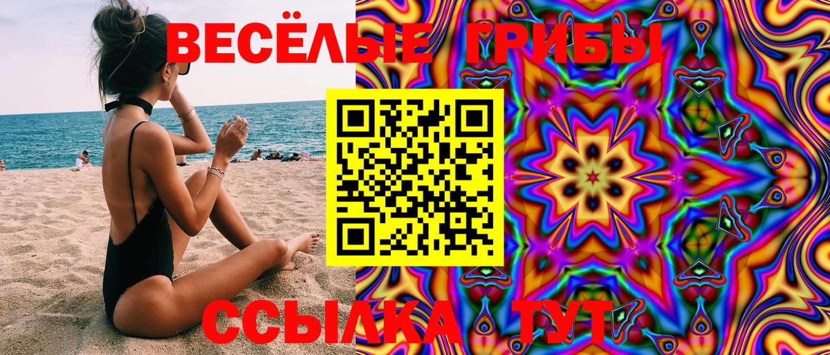 Псилоцибиновые грибы GOLDEN TEACHER Морозовск